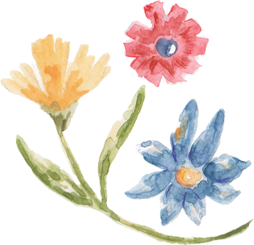 Hand-Painted Watercolor Aster and Carnation Filipino Flower Arrangement Illustration